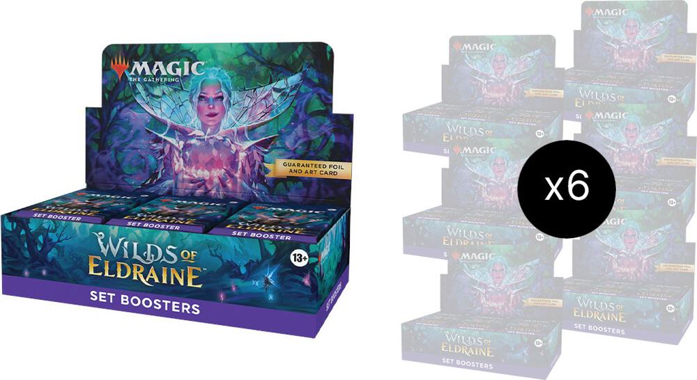 Booster-Umkarton · Wilds of Eldraine Set Booster Box Case