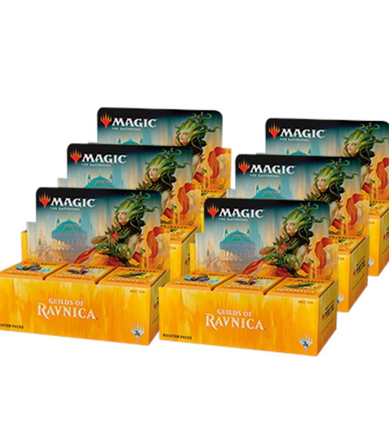 Booster-Umkarton · Guilds of Ravnica Booster Box Case