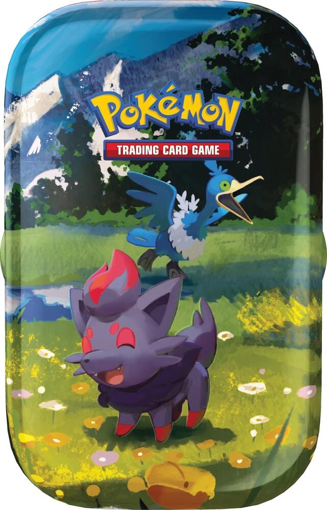 Pokémon Ascended Heroes Mini Tin [Zorua & Cramorant] – Englisch